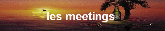 les meetings